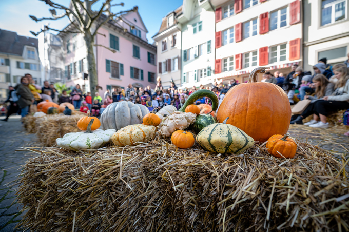 dsc_0601.jpg dsc_0601.jpg