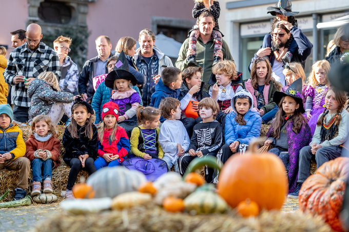 d50_5101.jpg d50_5101.jpg